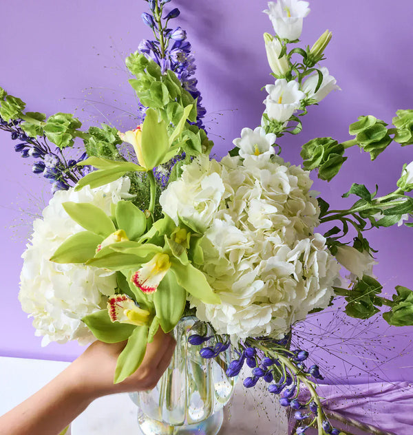 Hydrangea Care 101: How to Keep Summer's Fullest Bloom Looking Fresh Longer