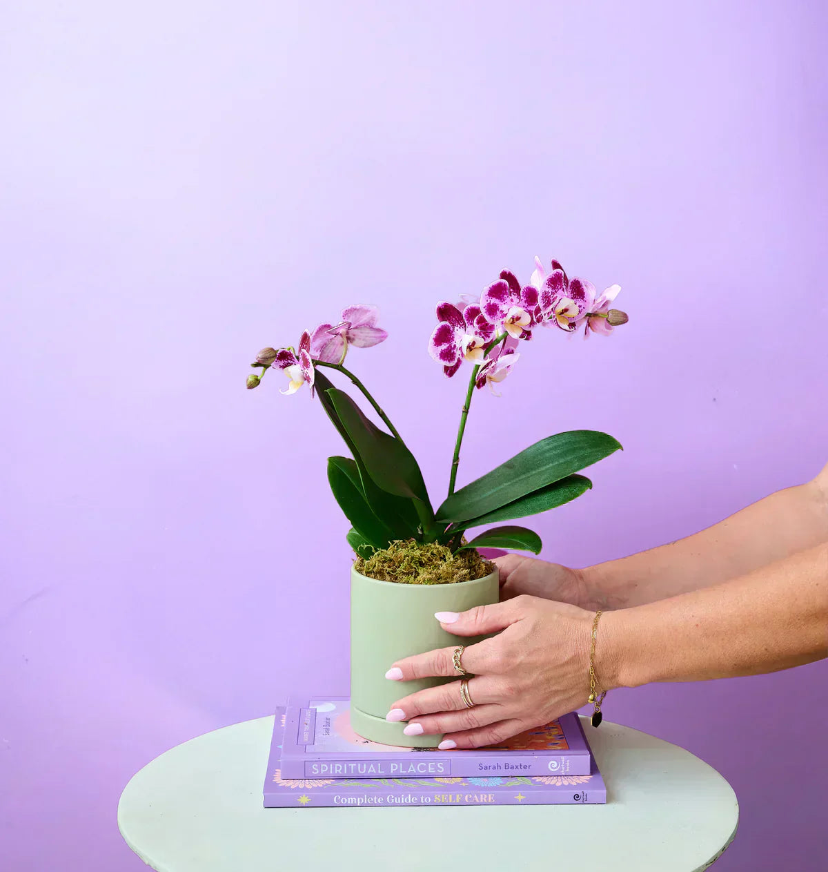 Woman arranging a white orchid pot from Flowers for Dreams on a dining table with modern home decor.