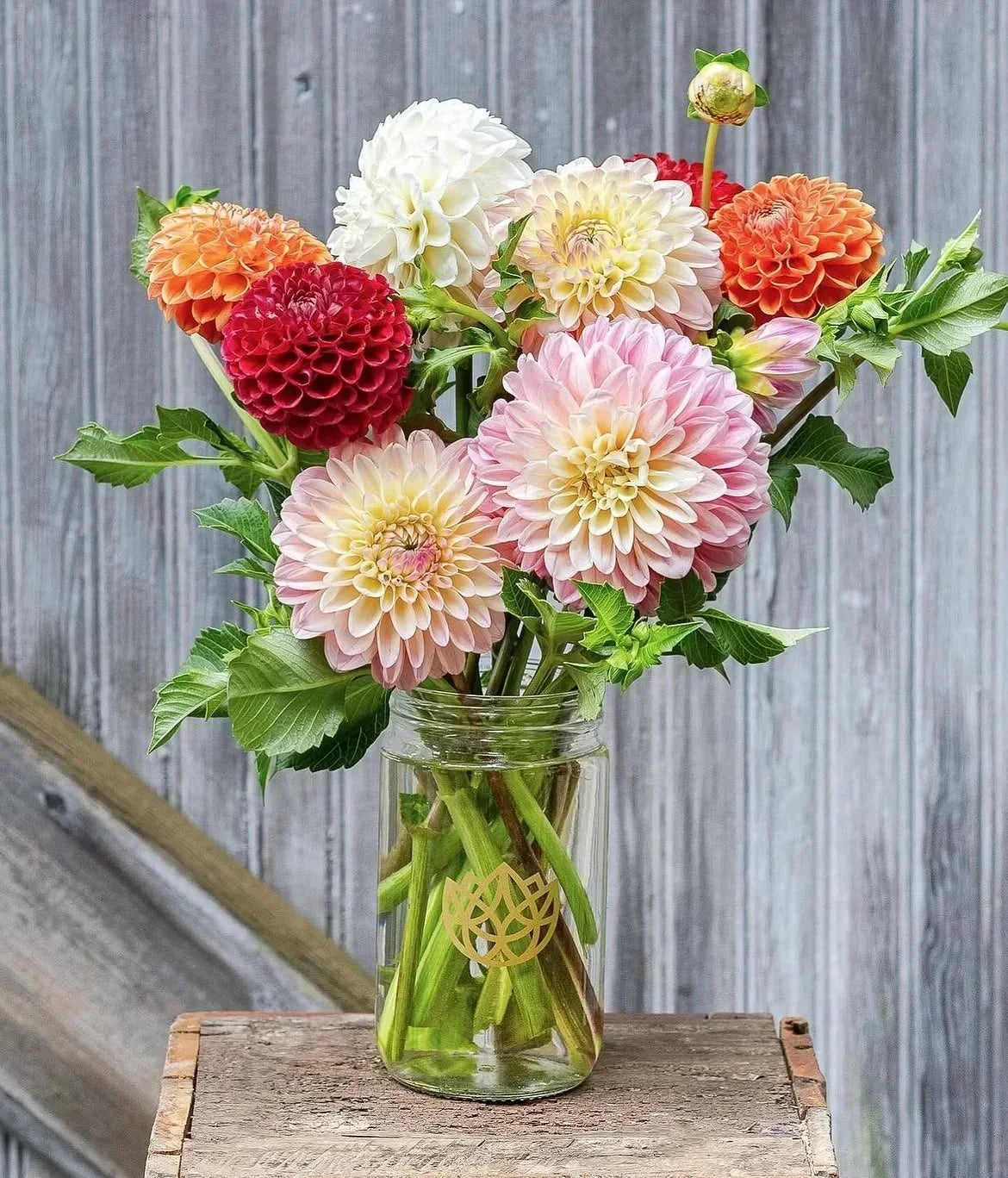 Glass mason jar on a wooden crate filled with fresh autumn dahlias in various colors from Flowers for Dreams.