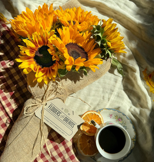 Sunflower Season: When They Peak, How to Care for Them, and Why Everyone Loves Them