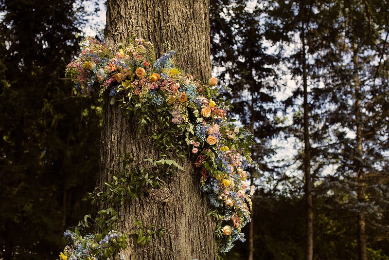 Flower for Dreams