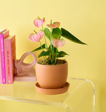 Laceleaf bouquet airy greenery focused floral arrangement with natural movement