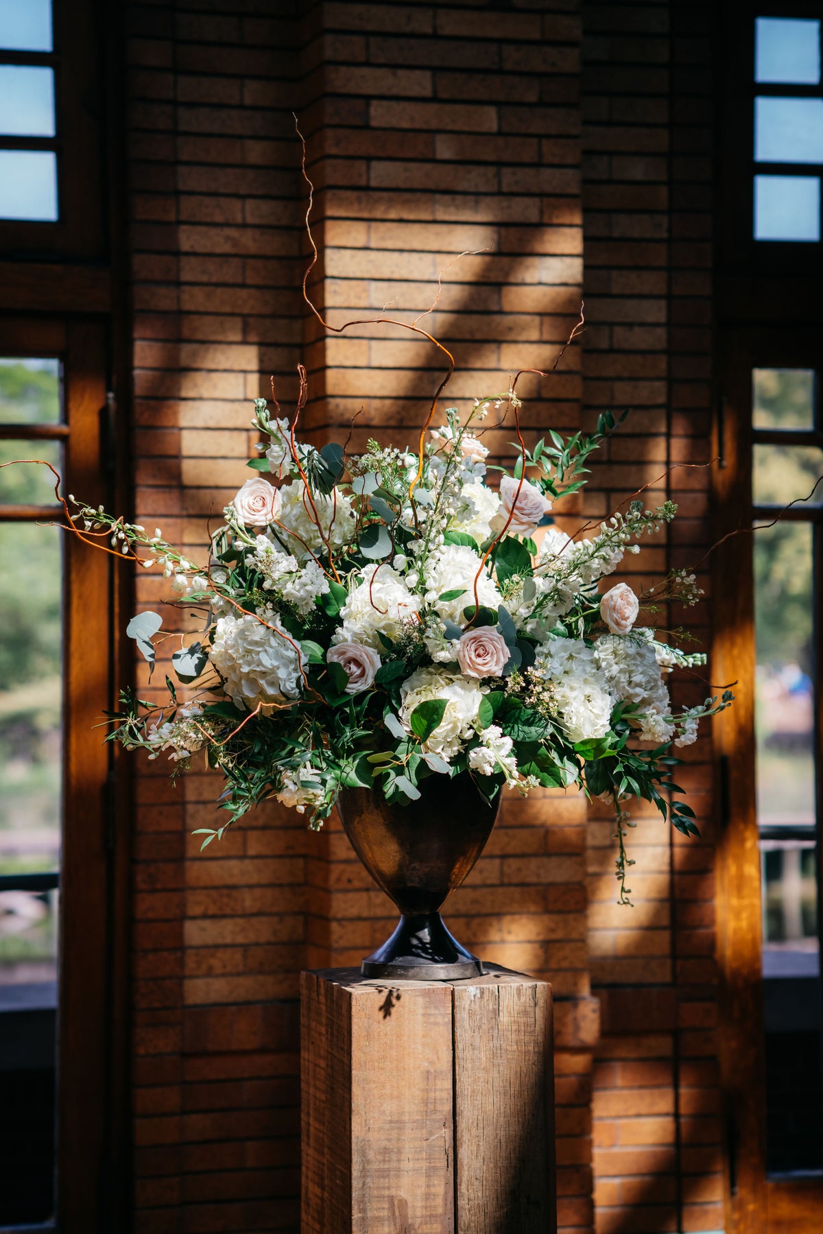 Flower for Dreams