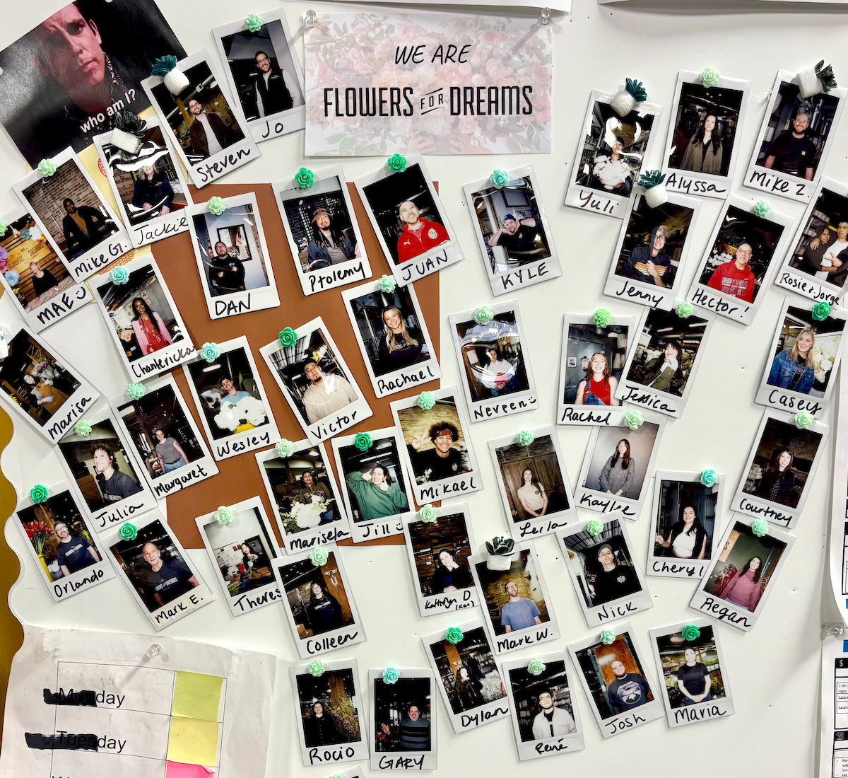 Collection of small photos pinned to a board with 'Flowers for Dreams' poster above.