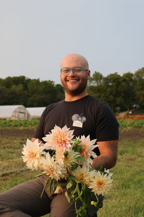  Shop Clara Joyce Flowers delivery 
